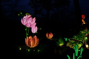 Lichterwelten