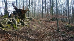Neues vom 30. Possenlauf 2020