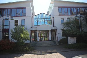 Blutbuche gepflanzt