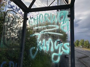 Bilder der Schmierereien