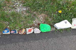KN auf Fotopirsch