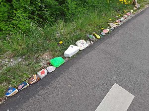 KN auf Fotopirsch