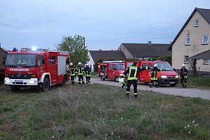 Rauch in Schweinestall