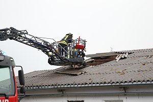 Rauch in Schweinestall