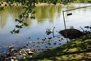 Den Parkteichen von Sondershausen fehlt (e) das Wasser