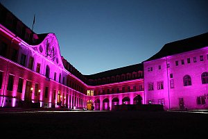 Erstmalig Schlossleuchten 2020 mit Fragezeichen