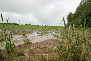 Dauerregen ruft Feuerwehren auf den Plan