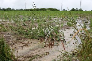 Dauerregen ruft Feuerwehren auf den Plan