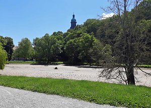 Aus den Beschl&uuml;ssen des Stadtrats