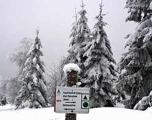 Im Harz