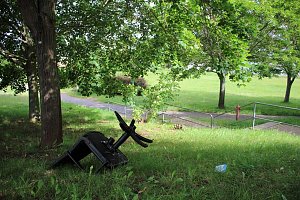 Felsenbirne, die verkannte bzw. vergessene Frucht