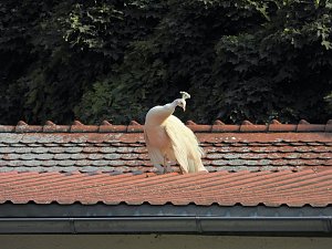 Unterwegs in Bad K&ouml;sen