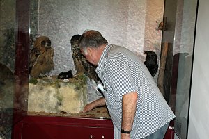 Uhus f&uuml;r das Schlossmuseum