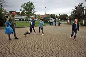 Mehr im verborgenen gesammelt?