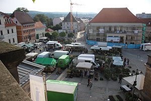 Pflanzenmarkt in Sondershausen gut besucht