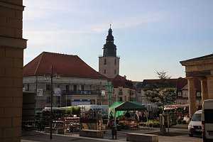 Pflanzenmarkt in Sondershausen gut besucht