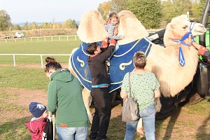 Circus Atlantik am Scheunenhof