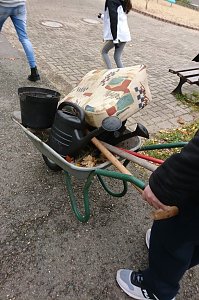 Ein Apfelbaum f&uuml;r den Spielplatz