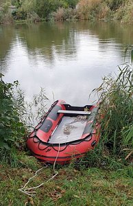 Junger Kauz in misslicher Lage