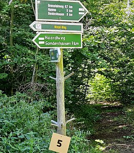 In Scharen in die Natur