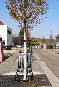 Barrierefreiheit in Sondershausen fehlt immer noch an vielen Stellen