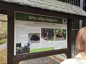 Besuch im Alternativen B&auml;renpark in Worbis