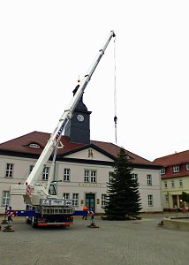 Weihnachtsmeldungen aktuell