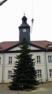 Weihnachtsmeldungen aktuell