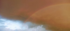 Fotos aus Seehausen