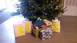 Aktion Wunschbaum