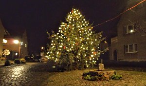 Weihnachtsbaum in Etzleben