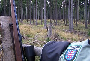 Jagdimpressionen