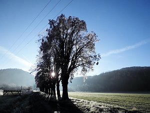 Winterimpressionen aus der Goldenen Aue
