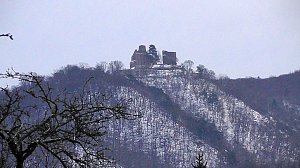 Winterimpressionen aus der Goldenen Aue