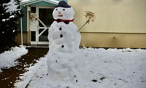 Der Schneemensch