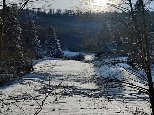 Im Brandesbachtal