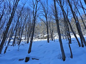 Im Brandesbachtal