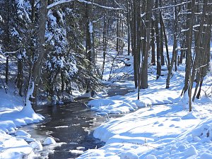 Im Brandesbachtal