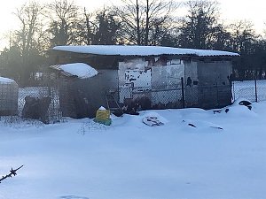 Schlechte Tierhaltung in Greu&szlig;en