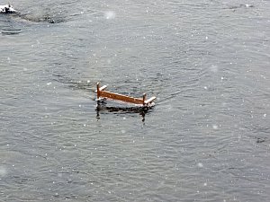 Beobachtungsposten f&uuml;r Enten?