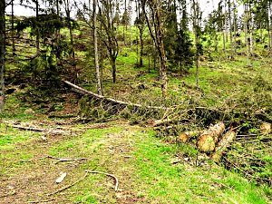 Vatertagswanderung