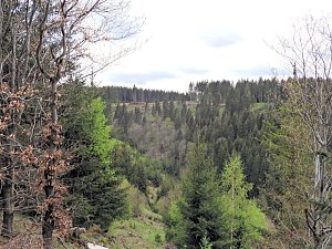 Vatertagswanderung