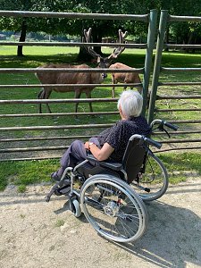 Tagesausflug auf den Possen