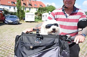 Sommerfest bei AS-Mayer