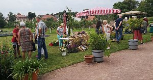 Rosenmarkt in Bendeleben 