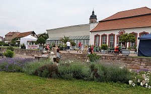 Rosenmarkt in Bendeleben 