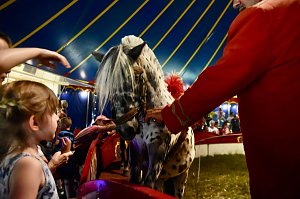 Zirkus Atlantik in Sundhausen