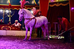 Zirkus Atlantik in Sundhausen