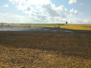 Feldbrand bei Allmenhausen
