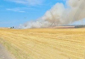 Feldbrand bei Allmenhausen